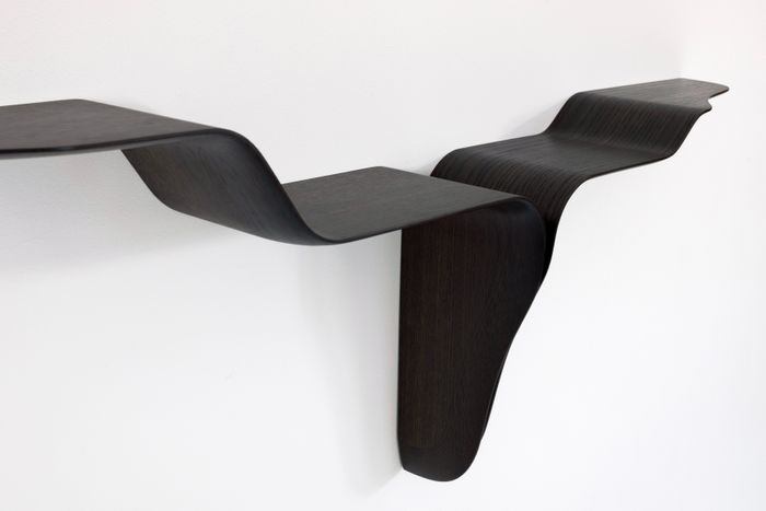 Conchiolin Shelf #1