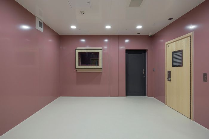 Altro Illustra™