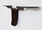 Conchiolin Shelf #2