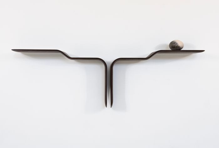 Conchiolin Shelf #2