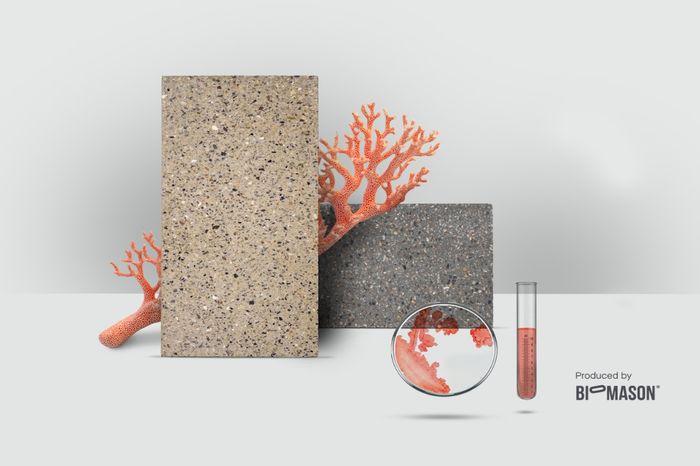 FRONT and Biomason Mimmik Tile™