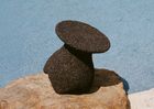 GROUND Table