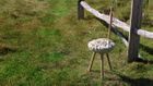 Spinning Chair 