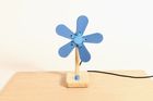 FLORA FAN