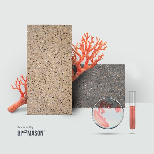 Mimmik: the first ever tile made with the help of bacteria