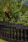 K-BRIQ®, UK-manufactured low carbon brick for landscaping made from near 100% recycled UK construction & demolition waste