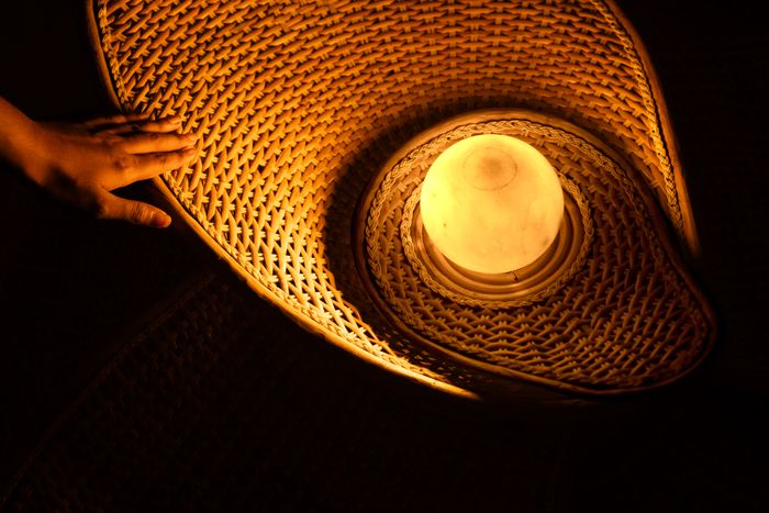 Orchid Lamp