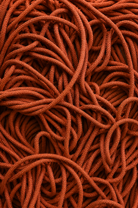 Terracota - Carding Collectibles