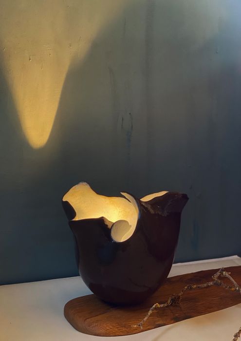 Vallari Harshwal Studio