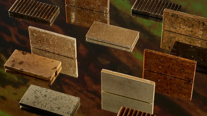 Biomaterials Library: Lithuanian and Baltic Creators