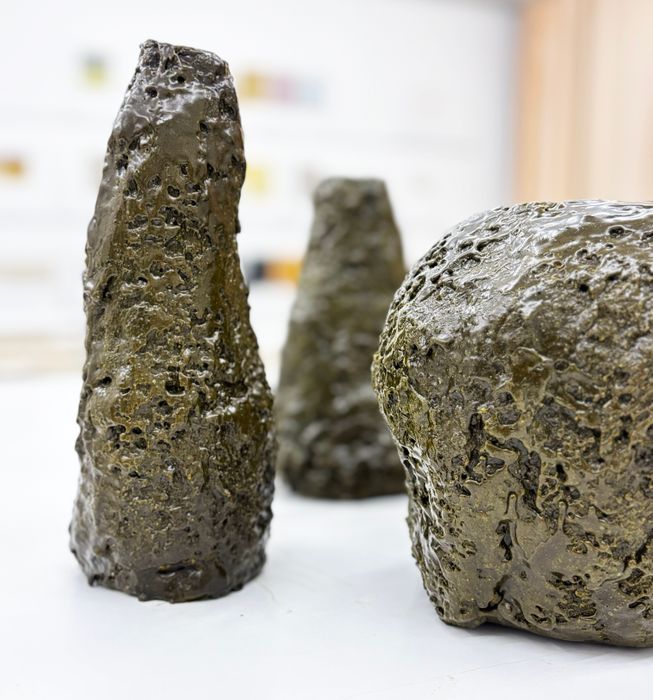 Biomaterials Library: Lithuanian and Baltic Creators