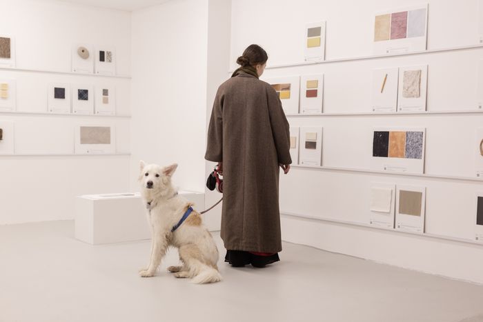 Biomaterials Library: Lithuanian and Baltic Creators
