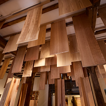 Wood for the Trees - AHEC
