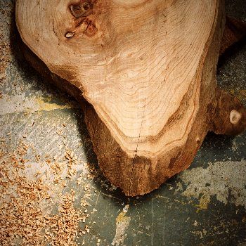 Fallen & Felled