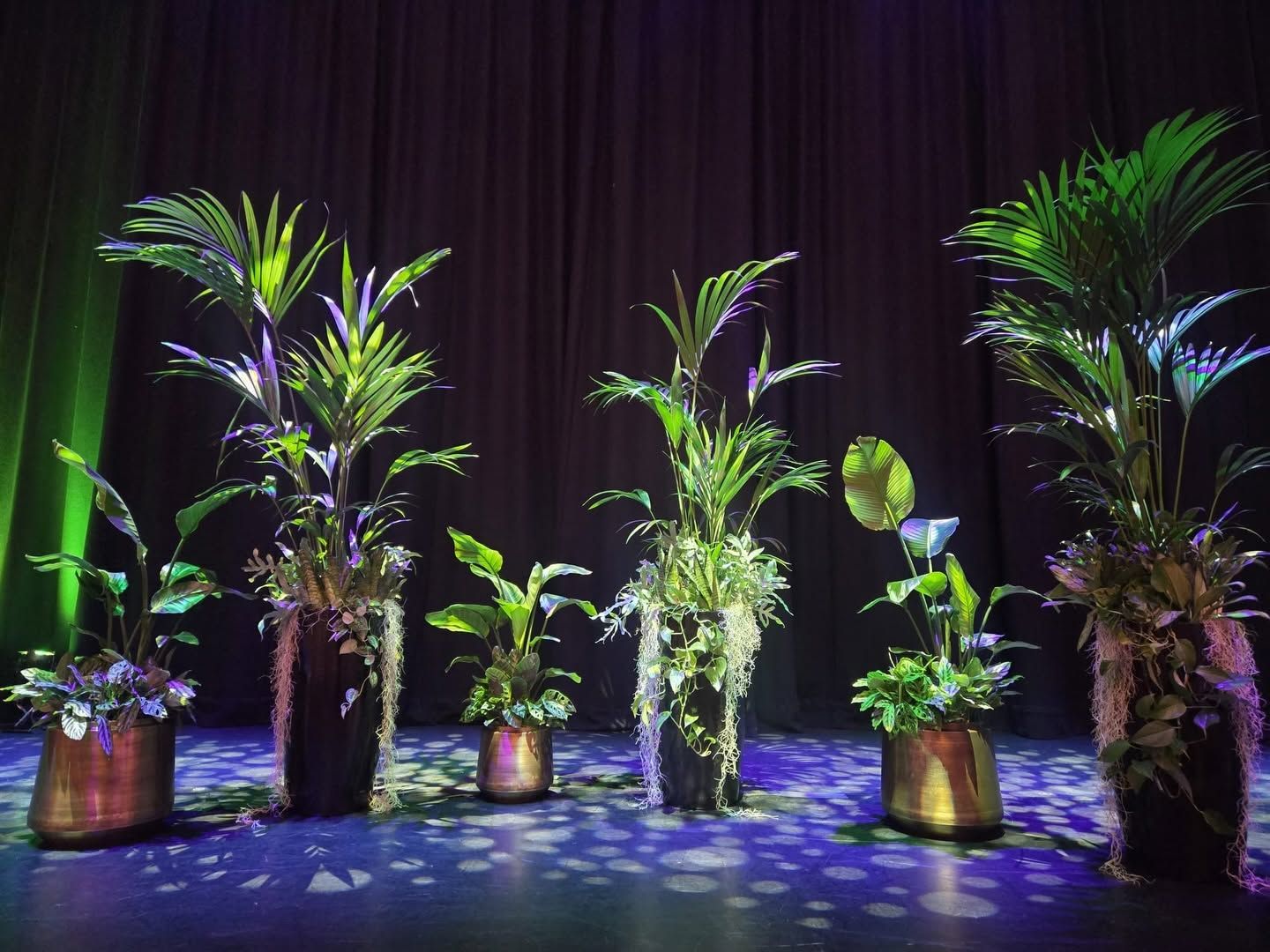 Fleurtations Plantscapes