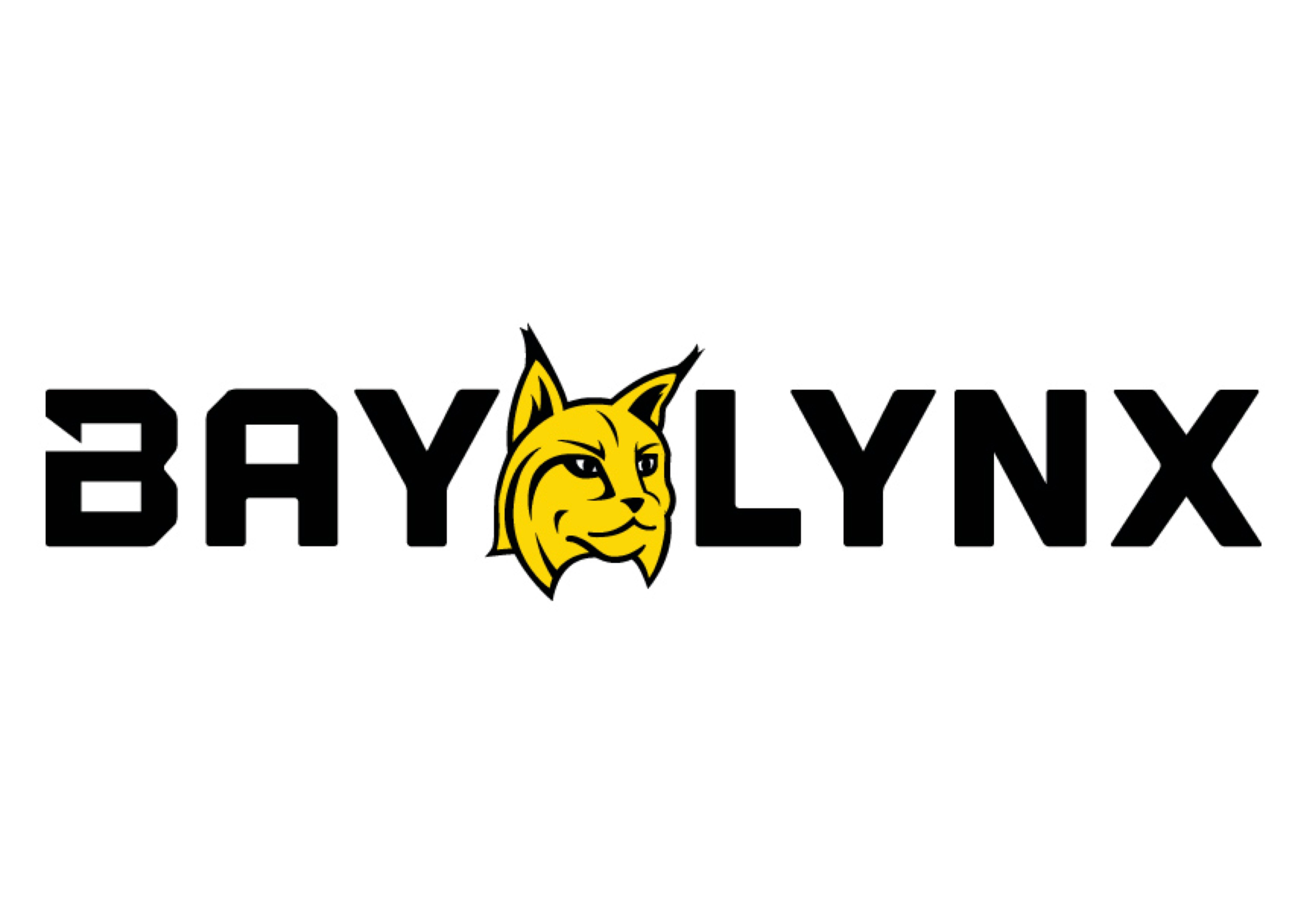 Bay-Lynx Manufacturing Inc.