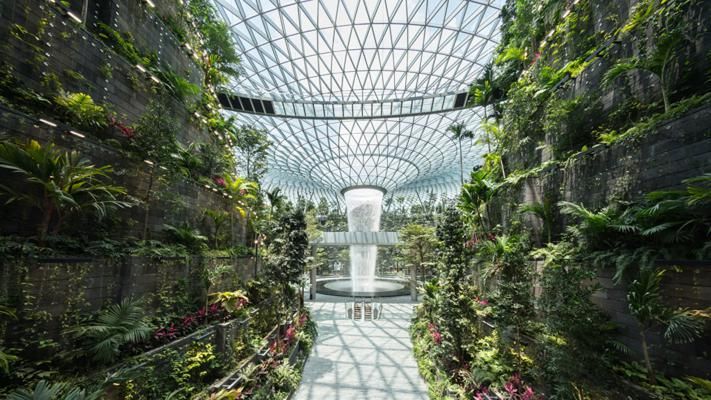 Safdie Architects completes world's tallest indoor waterfall at Jewel Changi Airport | Construction Buzz #213