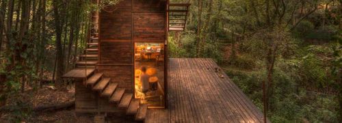 suspended treehouse by talleresque illuminates the surrounding forest in mexico | Construction Buzz #216