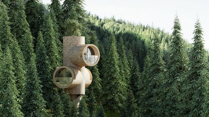 Bert modular treehouse designed to look like cartoon characters | Construction Buzz #224