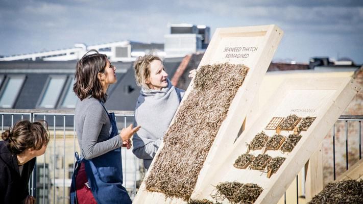 Viking-style seaweed thatch updated into prefab panelling | Construction Buzz #226