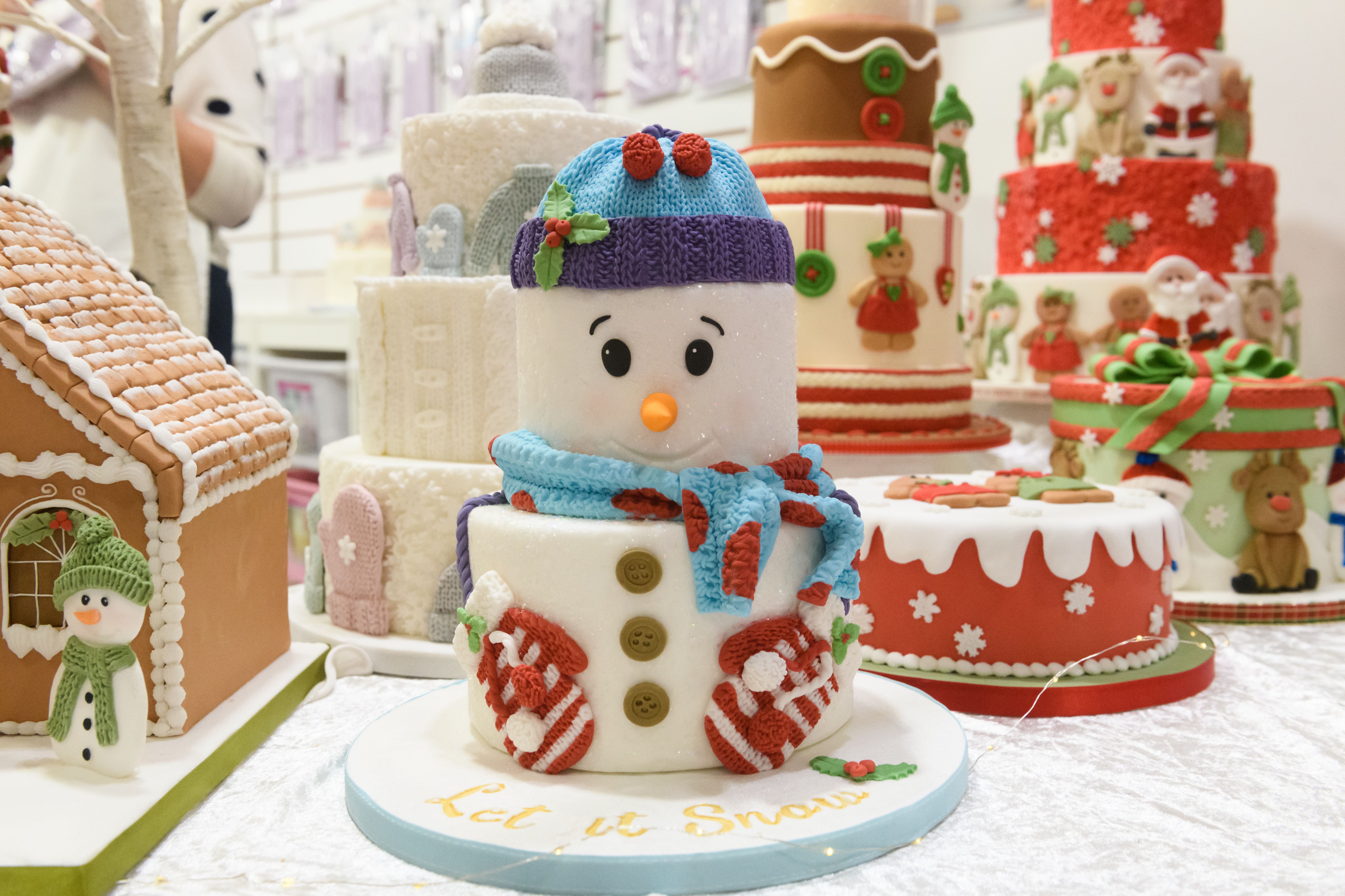 Cake Competition Festive Cakes