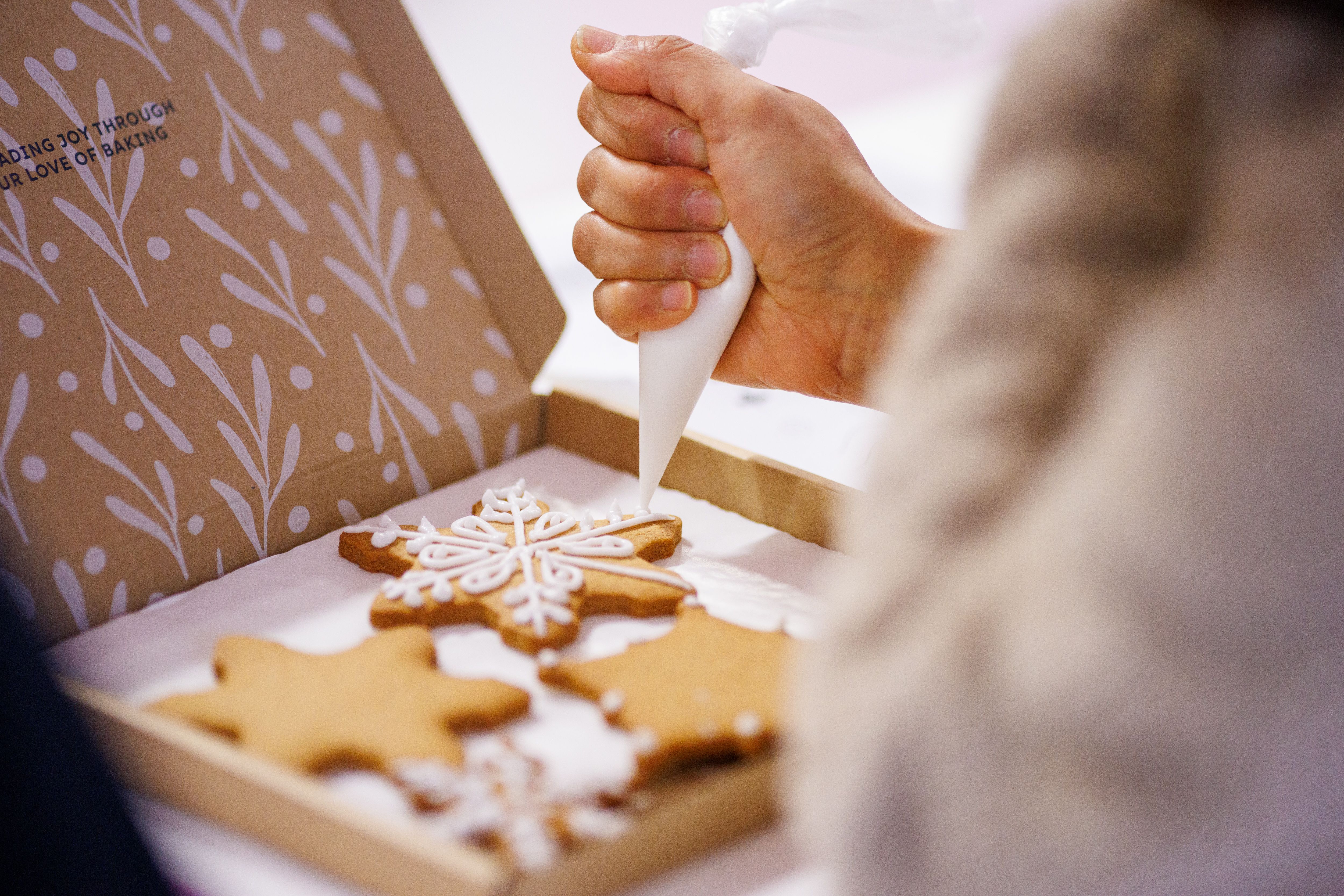 Gingerbread Decoratiing Workshop