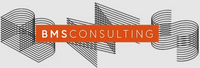 Company name - BMS SOFTWARE SOLUTIONS (NORTHERN) LIMITED T/A BMS CONSULTING