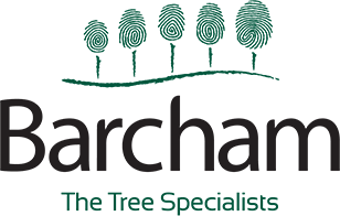 Exhibitor profile image for Barcham Trees Ltd