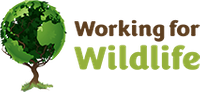 Company name - Working for Wildlife Ltd