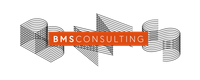 Company name - BMS CONSULTING