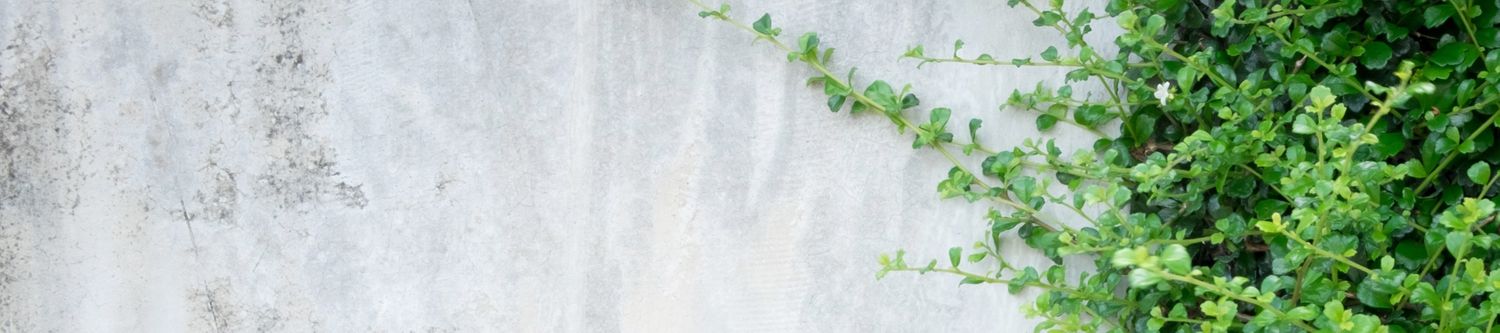 Cover image - ecoLocked GmbH