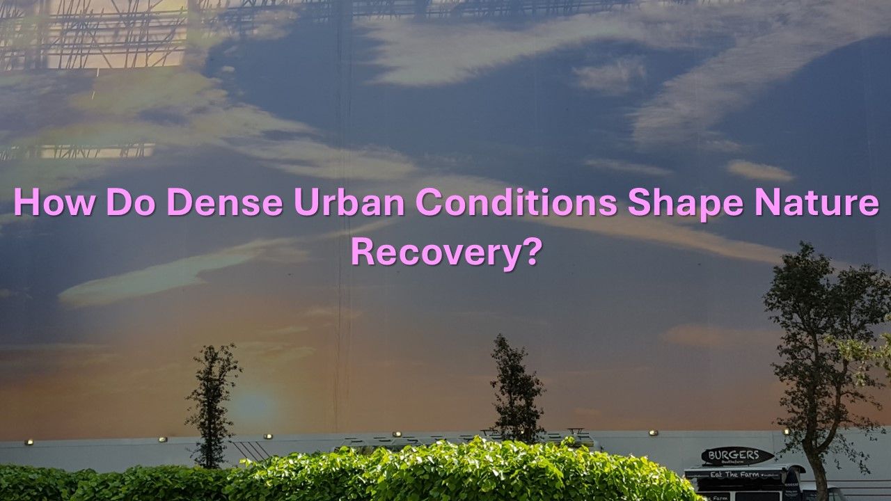 Why Nature Recovery Needs Urban Climate Risk Thinking