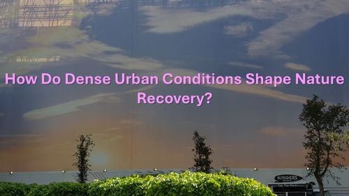 Why Nature Recovery Needs Urban Climate Risk Thinking