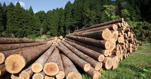What is moving in the world of regenerative materials?