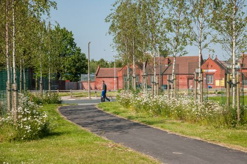 Putting trees at the heart of urban planning