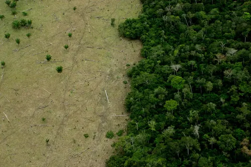 Nature is no longer just an environmental issue, it is a national security risk