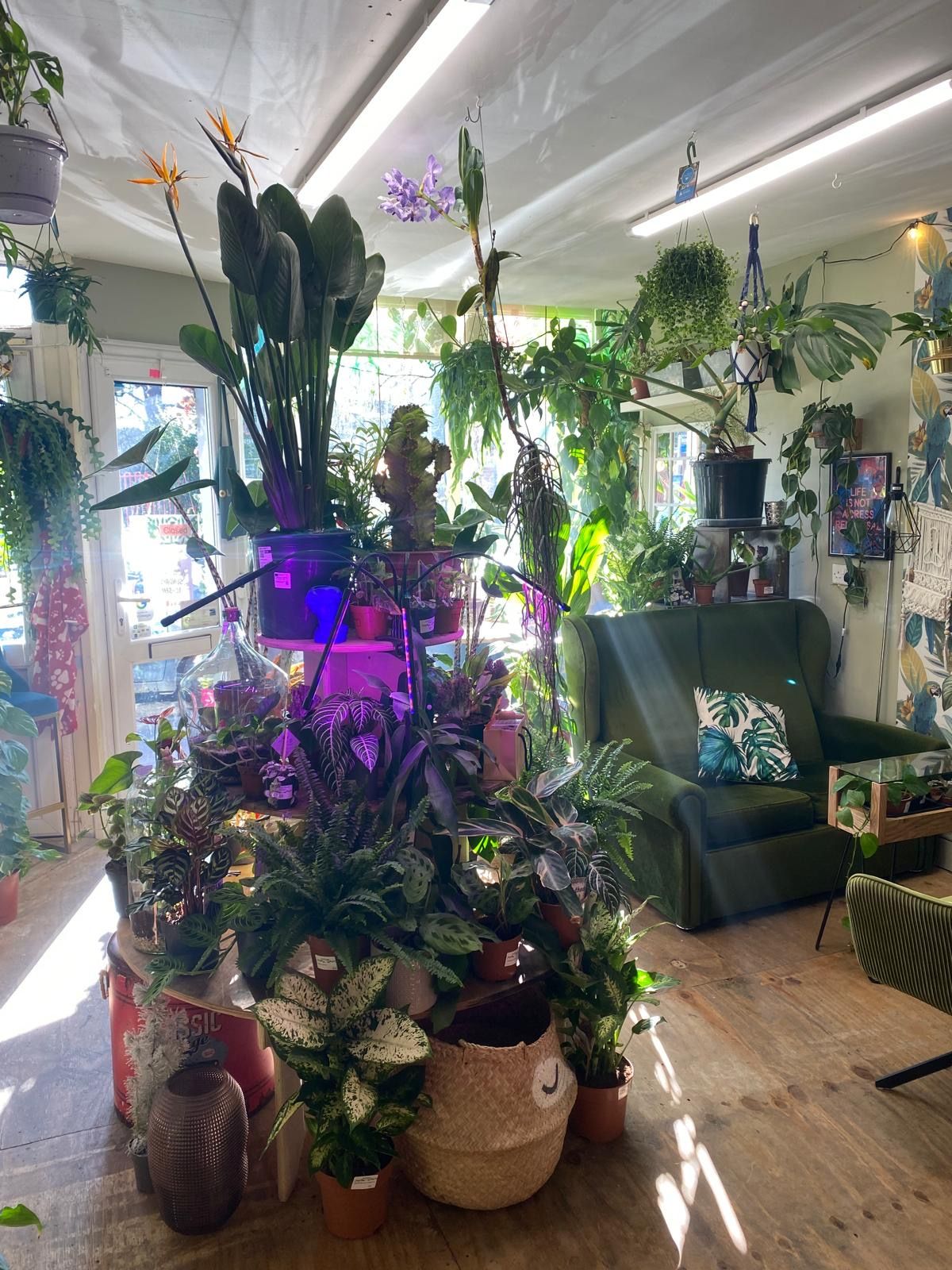 Our store