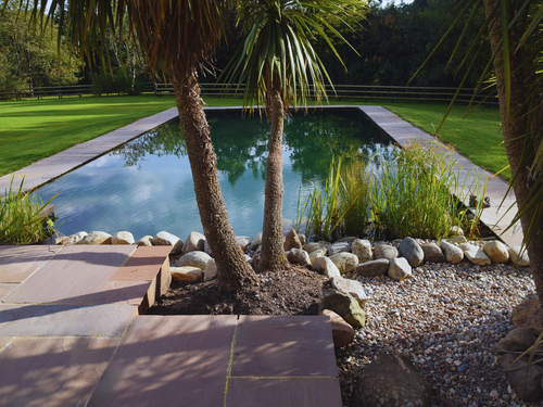 Formal Swimming Pond