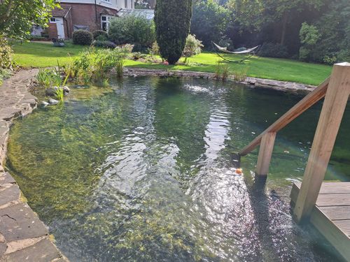 Swimming Pond Conversions (Swimming Pool or Pond to Swimming Pond)