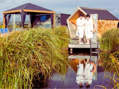 Commercial / International Swimming Ponds