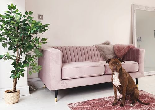 Slender Sofa Range