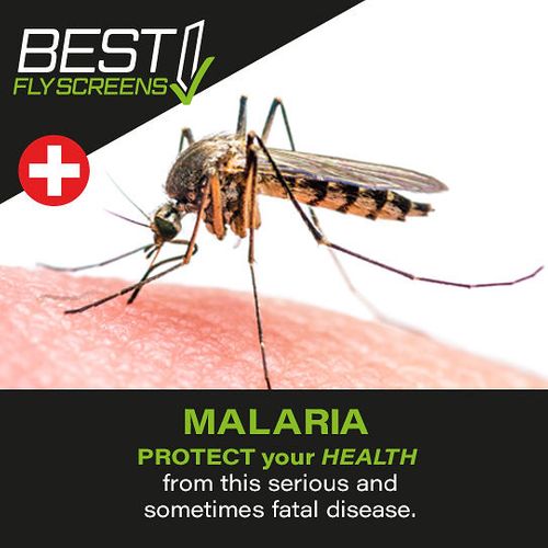 Malaria