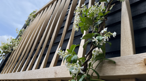 Trellises & Screens