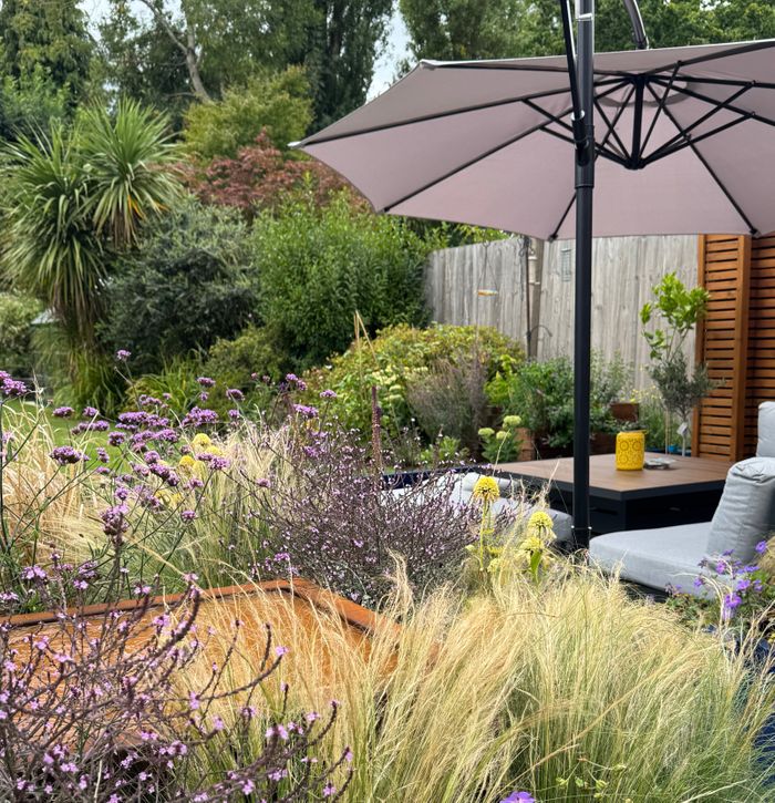 Win a full garden design consultation for your project!