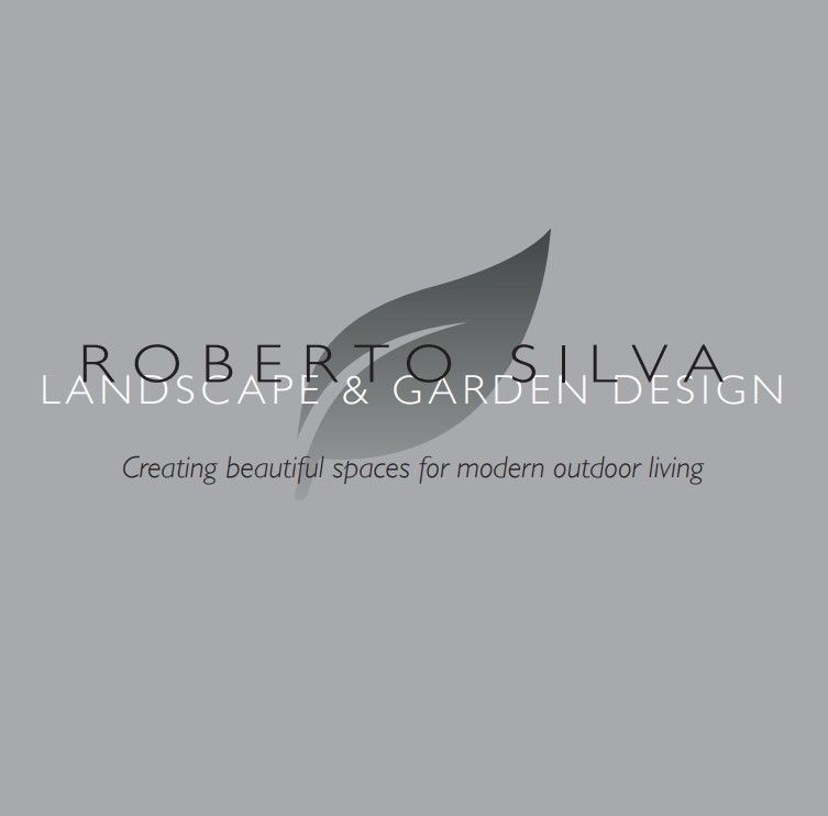 roberto silva logo