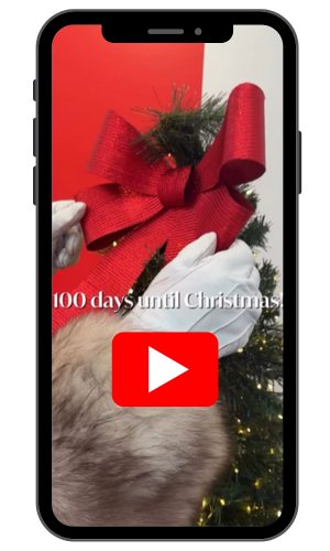 100 days until Christmas