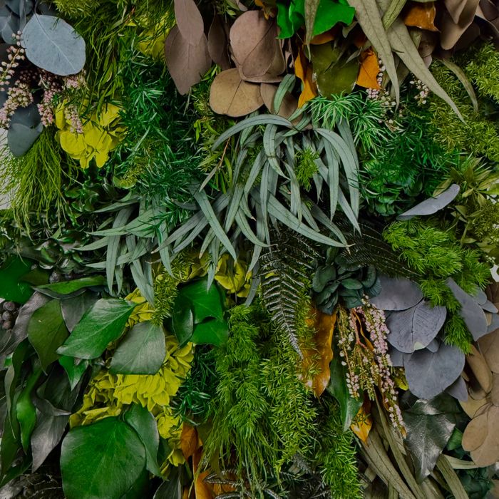 Preserved greens anf flowers for interiors