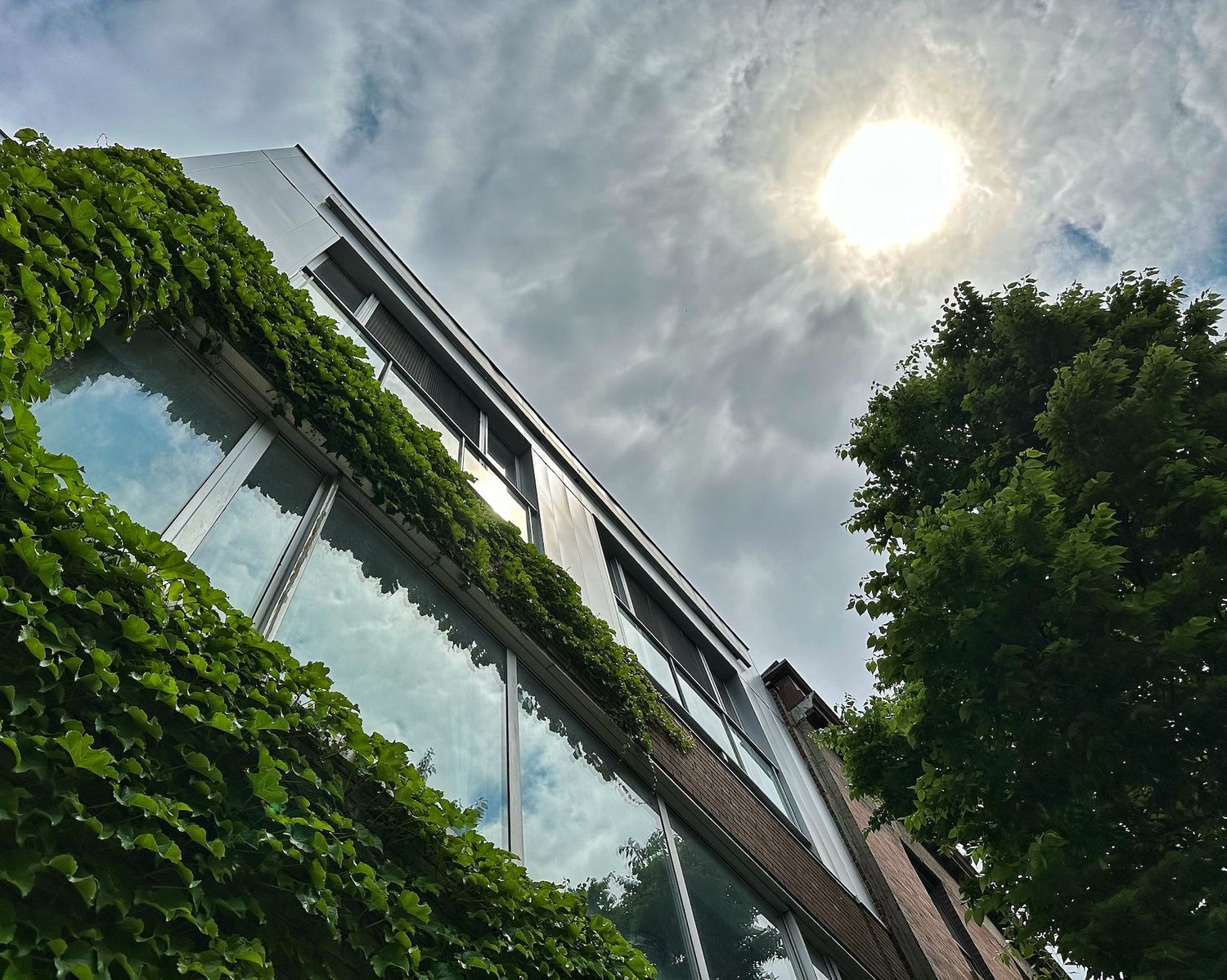 University College of Estate Management