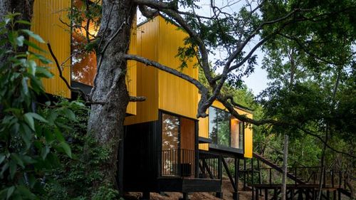 Prefab Yellow House by Alejandro Soffia contrasts Chilean landscape | Construction Buzz #211