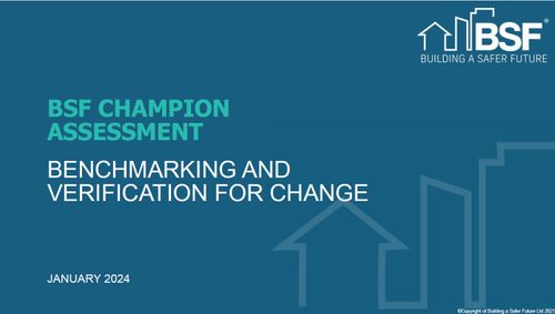 BSF Champion Assessment Framework
